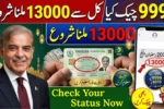 PM Ramzan Package 9999 Registration 2026